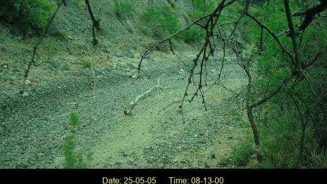 webcam image